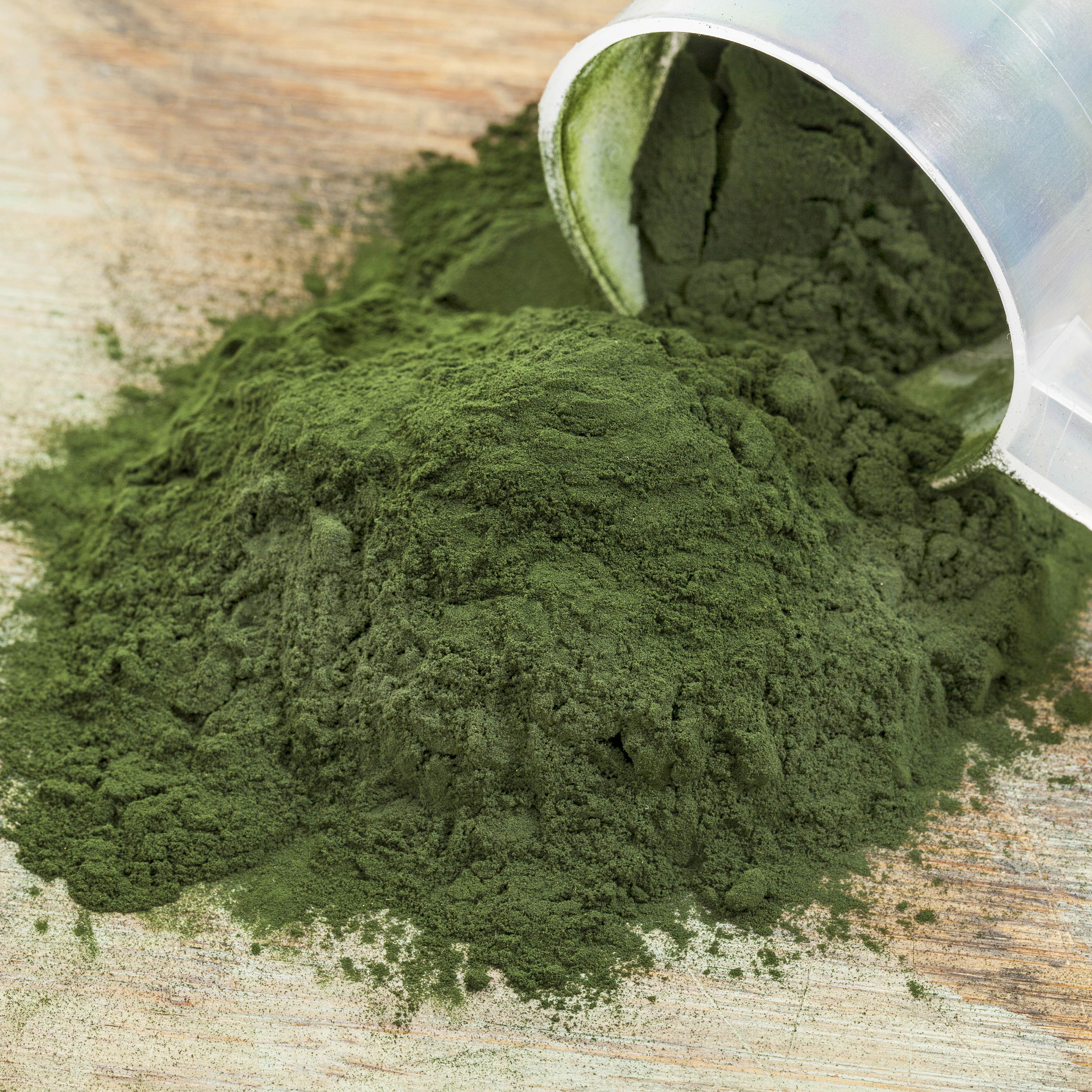 Spirulina Mikro Algae Powder
