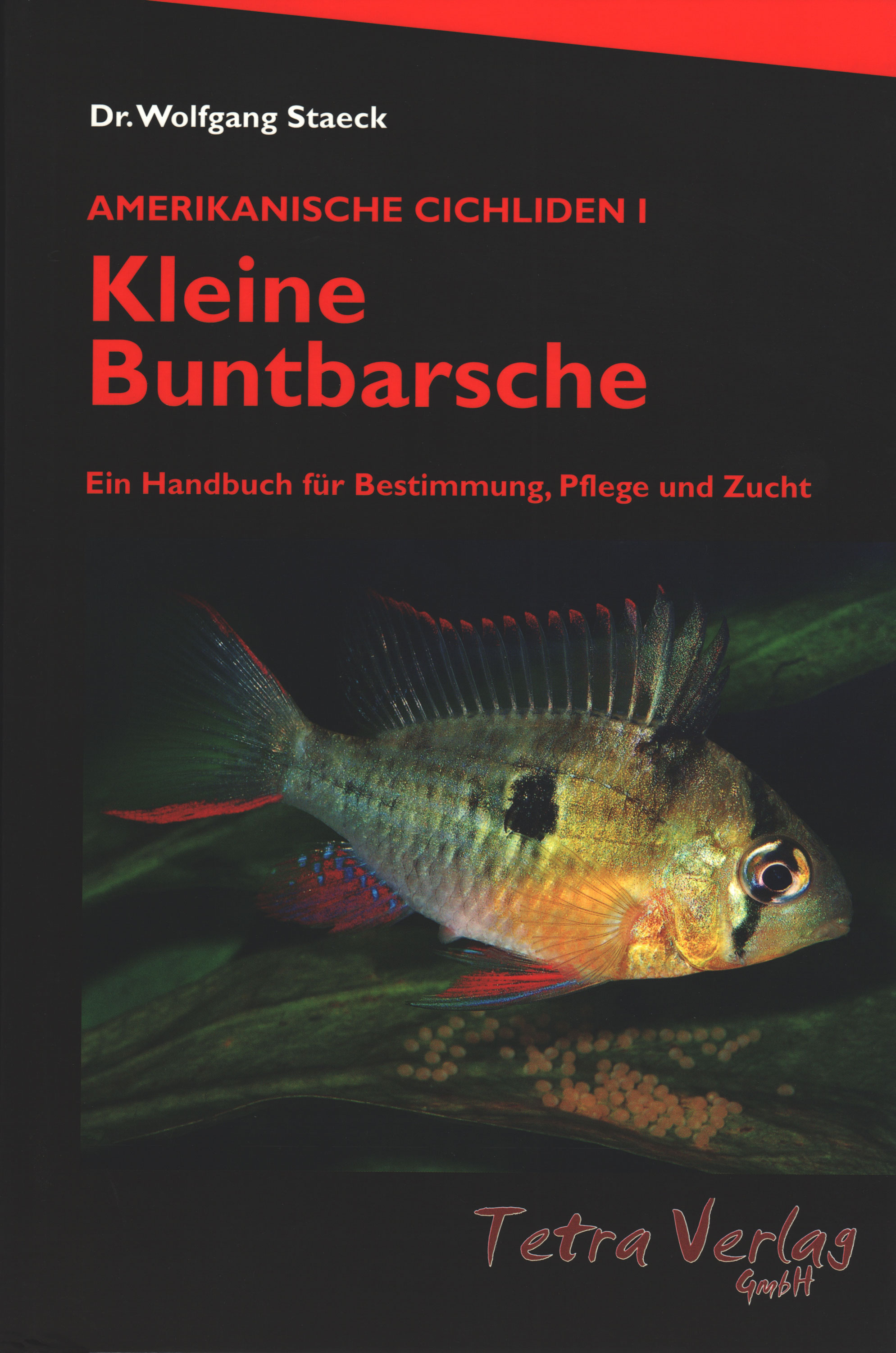 Kleine Buntbarsche / Dr. Wolfgang Staeck