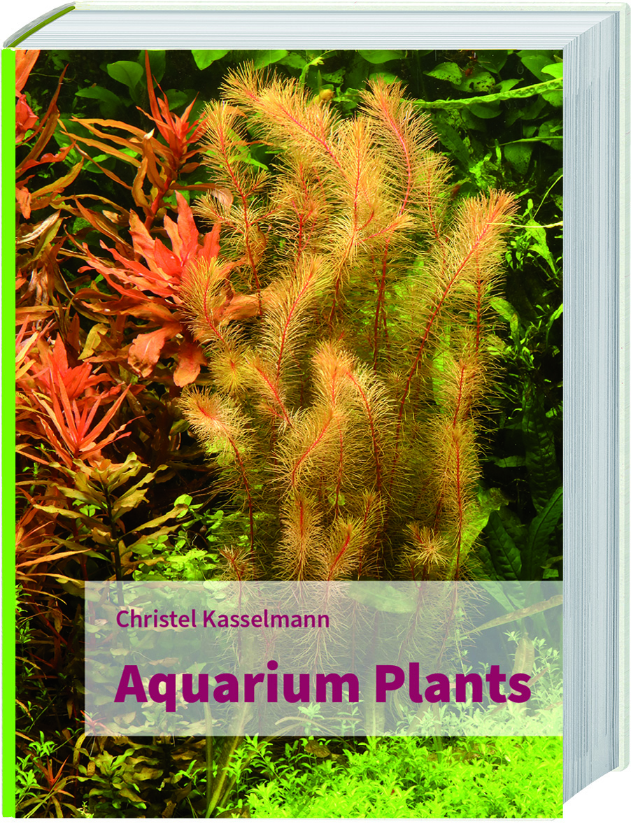 Aquarium Plants / Christel Kasselmann